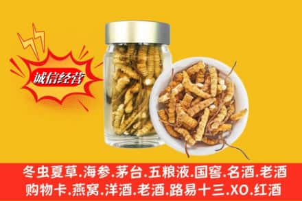 牡丹江穆棱市名酒回收散虫草.jpg