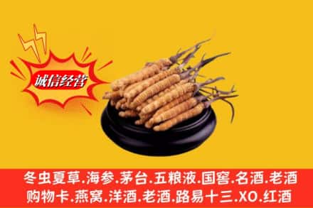 牡丹江穆棱市名酒回收冬虫夏草.jpg
